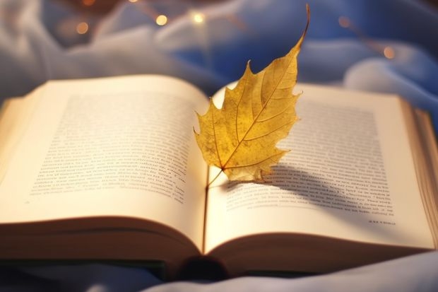 日语口译专业考研学校排名 日语考研去哪个学校学？国内现在最好的日语学校是哪所？