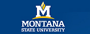 蒙大拿州立大学LOGO