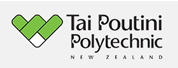 泰普迪尼理工学院LOGO