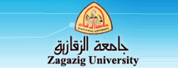 扎加齐克大学LOGO
