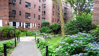 Kew High School图片