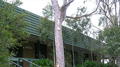 Viewbank College图片