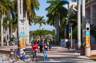 诺瓦东南大学图片