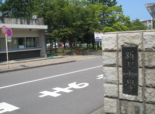 新潟大学图片