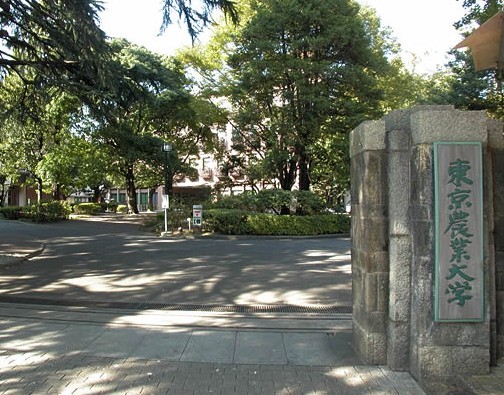 东京农业大学图片