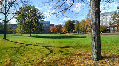 康奈尔学院图片